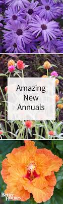 Maybe you would like to learn more about one of these? Amazing New Annuals For 2016 Garden Ideas Diy Cheap Garden Ideas Cheap Garden Ideas Cheap Easy
