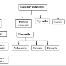 19 unisexual/monoecius flower if a flower contains either carpel(s) or stamen(s) then the flower is called unisexual/monoecius. Pdf Secondary Plant Metabolites Their Separation And Identification And Role In Human Disease Prevention