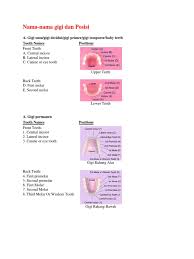 Pada keadaan persistensi, terkadang gigi susu juga tidak goyang. Nama Nama Gigi Tooth Human Head And Neck