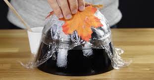 Dans le bazar en bas de chez moi pour acheter un petit livre d'activité avec des autocollants et un paquet de gommettes une plaquette de gommettes dans le sac plus quelques feuilles ou un carnet et tu pourras limite lire. Artisanat A Base De Feuilles Mortes De Colle D Un Bol Et De Lumiere Automnale