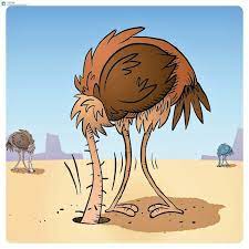 Bird with head in sand. Why Do Ostriches Bury Their Heads Under The Sand Quora