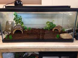 How To Create A Corn Snake Vivarium 13 Steps Corn Snake Pet Snake Snake Cages