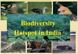 Pin On Biology Notes Pdf For Neet