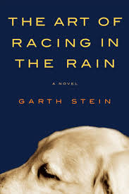 As far as kakashi was concerned; The Art Of Racing In The Rain By Garth Stein