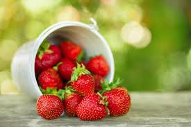 Keep your strawberry plants moist all the time. How To Ripen Strawberries Top Tips