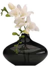 Check spelling or type a new query. July 2015 Archive Svet Klip Artu Fiori Vaso Di Fiori Vasi