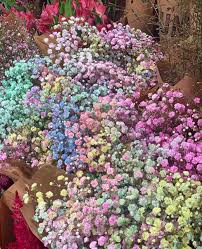 Pin On Cotton Candy