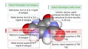 Il cavolfiore è un ortaggio che possiede molte proprietà benefiche, ma va evitato da coloro che soffrono di attacchi di gotta. Acido Urico Alto Nel Sangue E Nelle Urine Cause Sintomi E Rimedi