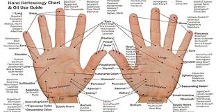 Palm Pressure Points Chart Www Bedowntowndaytona Com