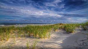 Island Beach State Park New Jersey Summer Beach Grass Green Sea Blue Sky And White Cloud Hd Wallpaper Island Beach State Park Beach Wallpaper Beach