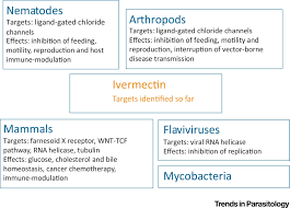 Used since 1980s, the drug is mainly used in creams and lotions for head lice. Ivermectin Old Drug New Tricks Trends In Parasitology