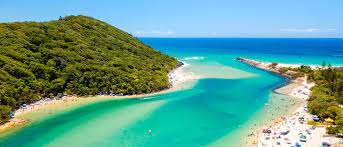 Image result for Queenslandiella