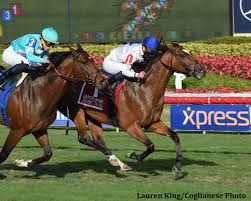 terry hamilton s heart to heart showed his class at 7 years of age gutting out a win in saturday s grade 1 gulfstream par horse racing racing news racing