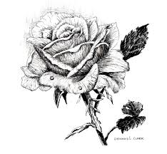 Next, erase any unnecessary pencil lines to. How To Draw A Rose In Pen And Ink Online Art Lessons