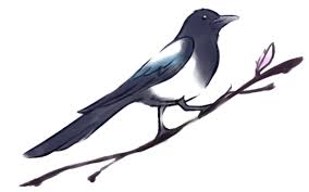 Korean Magpie By Amelior8 Magpie Tattoo Cherry Blossom Painting Magpie Art