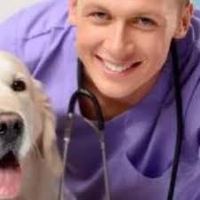 PARK FOREST ANIMAL HOSPITAL