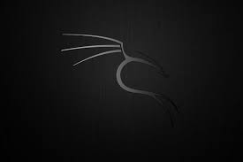 Kali linux kali linux nethunter linux, black background, green color. Pin On Others