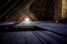 When there are opossums in the attic, you may not hear any noise since even if they are larger; What Are Those Noises Coming From My Attic