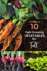 Plant These Speedy Fall Vegetables For A Last Hurrah Fall Vegetables Growing Vegetables Fall Garden Vegetables