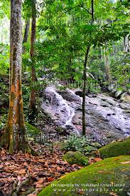 To connect with forest research institute malaysia's employee register on signalhire. Forest Research Institute Of Malaysia Frim Www Colourpro Flickr
