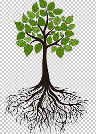 Tree Root Branch Png Black And White Branch Clip Art Flora Flower Tree Art Tree Roots Tree Roots Tattoo