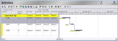 Customizing A Gantt Chart Adding Notebook Topic Descriptions