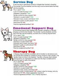 Pin On Puppies