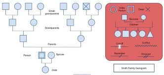 Genogram Template 1 Genogram Template Genogram Example