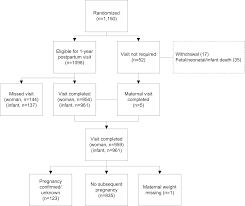 One Year Postpartum Anthropometric Outcomes In Mothers And