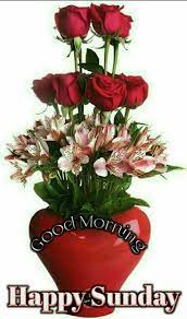 Good morning images with flowers in hindi. Flower Sunday Quotes Images 829 Sunday Good Morning Images Quotes Pics Wishes In Hindi Dogtrainingobedienceschool Com