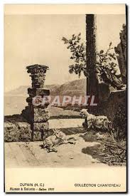 Le salon international de la. Carte Postale Ancienne Chevre Dupaiin Chantereau Ruines A Solonto Salon 1931 Manuscript Nbsp Nbsp Paper Nbsp Collectible Cpaphil