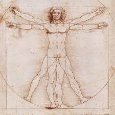 It's indeed, anatomical details in the wrong spots can make a drawing look stiff and fake. Anatomy Professor Uses 500 Year Old Da Vinci Drawings To Guide Cadaver Dissection Nova Pbs Nova Pbs