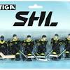 Klubben harvade mellan 1990 och 2006 i lägre serier i det svenska ishockeysystemet. 1