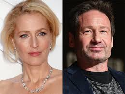 Other television roles include lady dedlock in bleak house, miss havisham in great expectations, both bbc adaptations of dickens novels. X Files Fans React To Gillian Anderson And David Duchovny Reunion Photo Can T You Just Marry Already The Independent