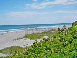 Triumph 4 post auto lift in melbourne, 2021 audi rs 5 sportback in melbourne, 2013 ford edge sel fwd in melbourne, home for sale in melbourne in melbourne, 2021 yamaha xsr900 in malabar. Wavecrest Condos Cocoa Beach Fl Direct Oceanfront Re Max Aerospace Realty