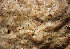 Temperature being the most critical. How Do I Know If My Yeast Is Still Active Breadopedia Com