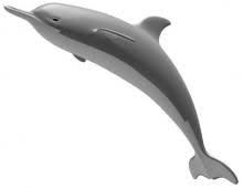 Dolphin 3d Model 3d Model Model Dolphins