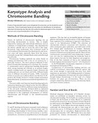 Chromosome 14 spans about 107 million base pairs (the building material of dna) and represents between 3 and 3.5% of the total dna in cells. Pdf Karyotype Analysis And Chromosome Banding
