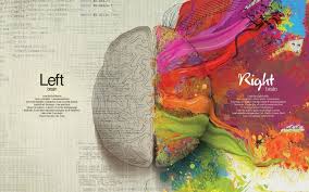 62 Anatomy Hd Wallpapers Background Images Wallpaper Abyss