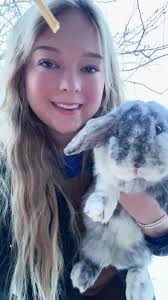 part two #rabbitsoftiktok #hollandlop #rabbitaddict