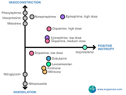Image result for Vasopressor
