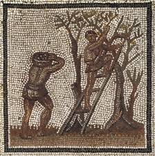 Les Syst Mes Agraires De L Antiquit Rome Antique Romain Art Antique