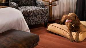 Relative adoption is the adoption of a child by a relative when the birth parent places the child in that relative's home without a court order. Pet Friendly Hotels In Madison Wisconsin Dells And Beyond