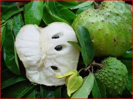 Pin On You Want Some Fruits Come Visit Us