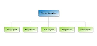 Flat Structure Organizational Chart Chart Drawing Tools