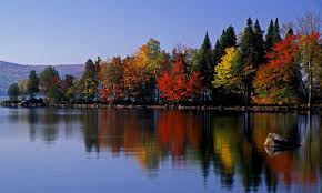 A full kitchen and patio are included with each cabin at rangeley lake resort. 24 Visit Maine Maine In The Fall Rangeley Lake Maine Travel