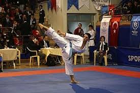 Karatede erkekler katada milli sporcu ali sofuoğlu, güney koreli heejun park ile yaptığı bronz madalya maçını kazandı. Metin Sofuoglu Vikipedi