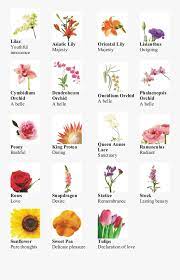 Different flowers and their meanings. Pictures Of Different Flowers With Names Beautiful Flowers Gallery