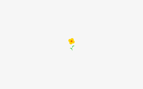 Simple Flower Minimalist Desktop Wallpaper Desktop Wallpaper Simple Cute Desktop Wallpaper