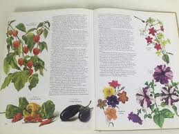 We did not find results for: Flowers Of The World Frances Perry 1972